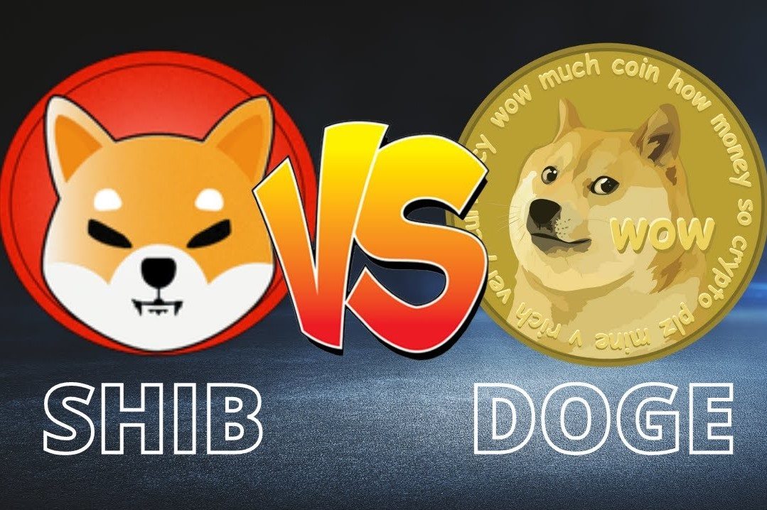 SHIB的逆袭：超越Doge仅一步之遥