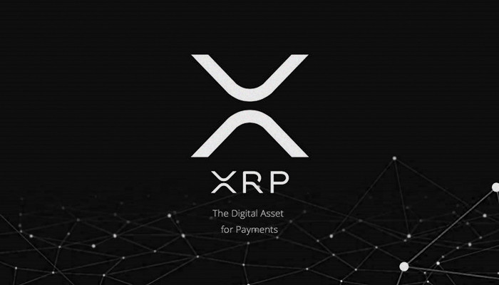 瑞波币XRP钱包下载注册激活使用教程详解