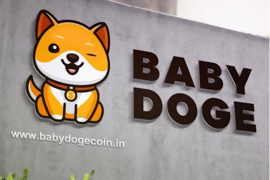 2022年宝贝狗币BABYDOGE币上线了哪些交易所？