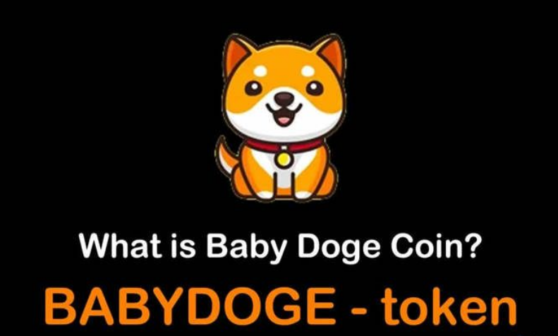 BABYDOGE币的未来潜力如何？宝贝狗有投资价值吗？