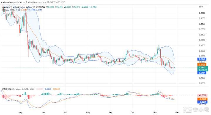 今日的Algorand预测：ALGO/USD正在巩固