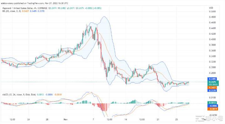 今日的Algorand预测：ALGO/USD正在巩固