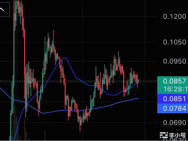 狗狗币(DOGE)价格支撑未来的高波动性：接近尾声了吗？