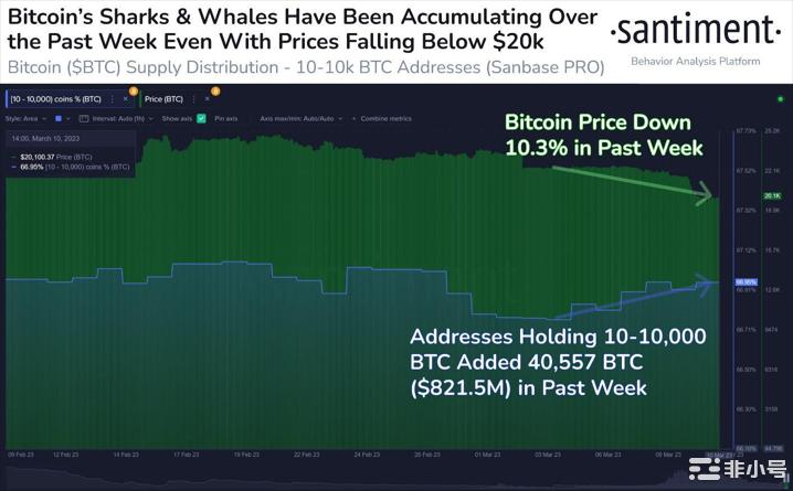 随着BTC增持的增加比特币下跌引发了鲸鱼的巨大逢低买入