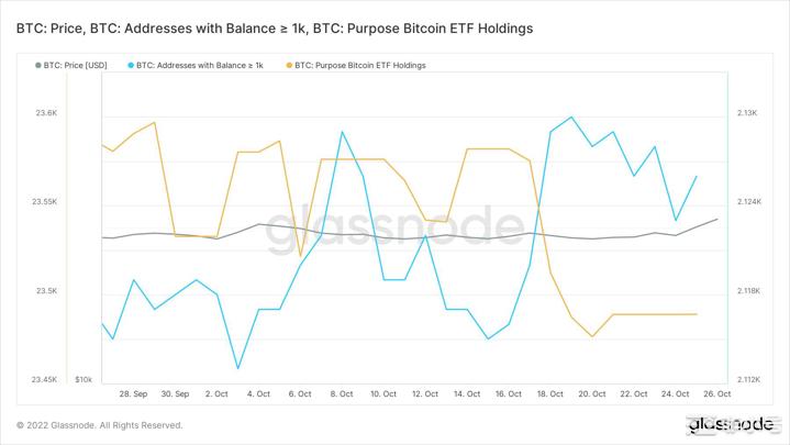 比特币[BTC]投资者在做多之前应考虑到这一点