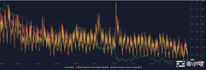 比特币鲸鱼仍然持怀疑态度：这对BTC价格意味着什么