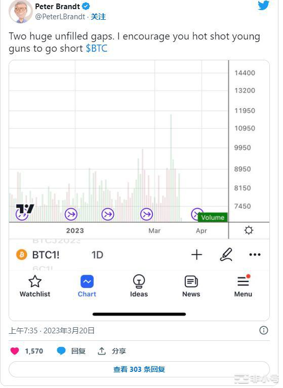 PeterBrandt发布比特币(BTC)重要价格警告