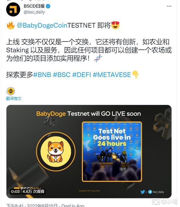 BabyDoge（宝贝狗）还能崛起甚至超越SHIB吗？