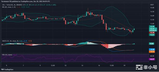 由于多头报复SOL恢复了12.30美元