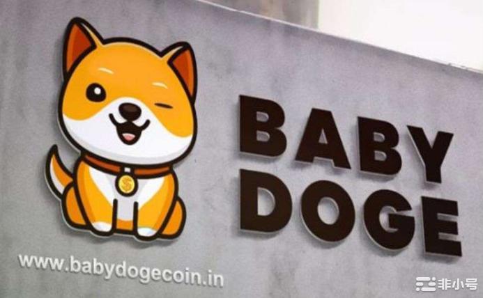 宝贝狗币（BabyDoge）是什么？有何用途？未来如何？