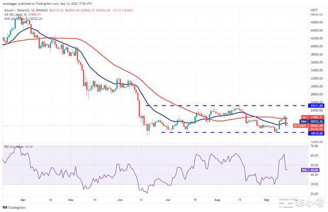 价格分析9/15：BTCETHBNBDOGESHIB比特币正努力在20,000美元区