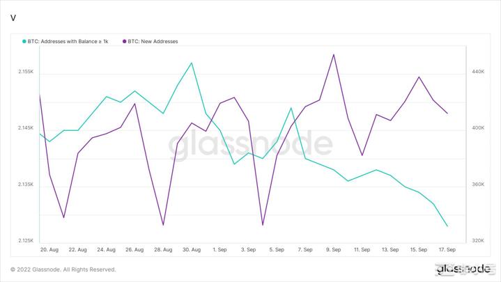 比特币[BTC]可能处于尾声但这是否也值得谨慎