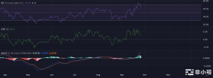 XRP：走哪条路？描绘先前牛市的影响