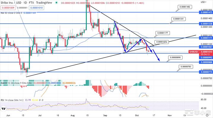 ShibaInu价格预测–SHIB能否超越比特币？