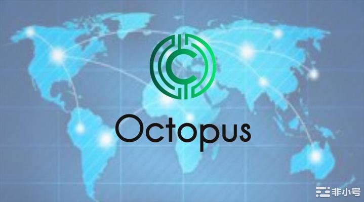 OctopusGlobal全球战略