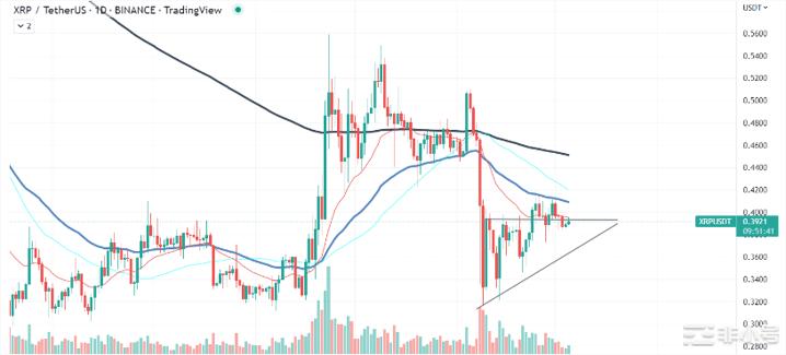 隐藏的XRP信号显示重要的逆转！