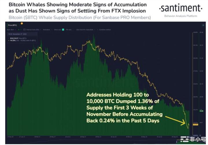 比特币（BTC）鲸鱼进入轻微的重新积累阶段