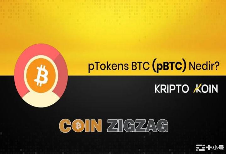 什么是 PTokens BTC？ PBTC 做什么？