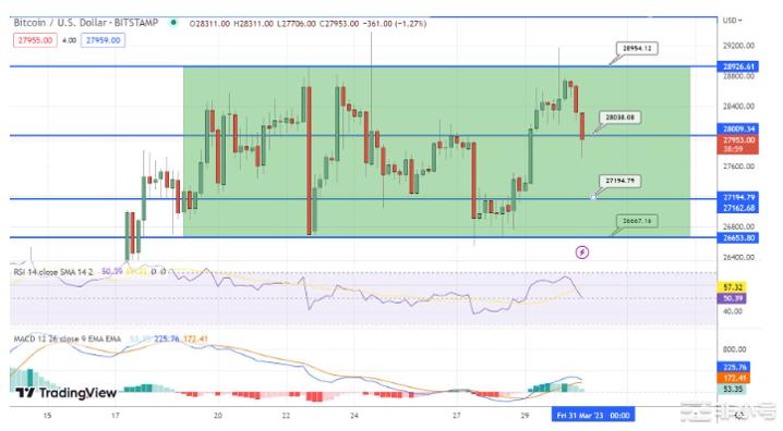 BTC价格反弹加剧——BTC本周能否达到30,000美元？