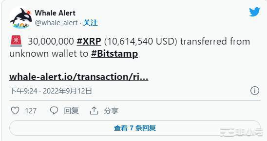 XRP鲸鱼大动作！XRP价格的未来是什么？