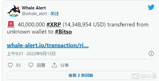 XRP鲸鱼大动作！XRP价格的未来是什么？