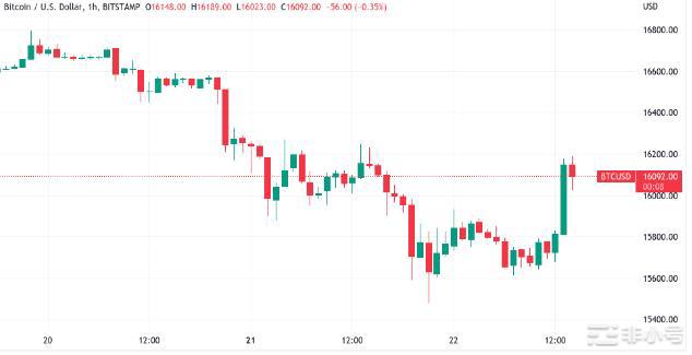 由于对BTC鲸鱼抛售的警告比特币价格重返16,000美元