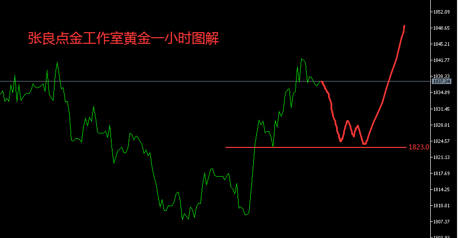 张良点金：日内黄金回落等多，原油继续低多看涨！