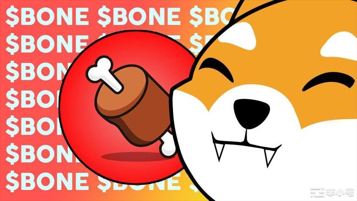 SHIB团队再创奇迹？BONE强势崛起