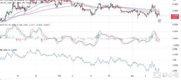 XRP交易量爆增是鲸鱼入场了？