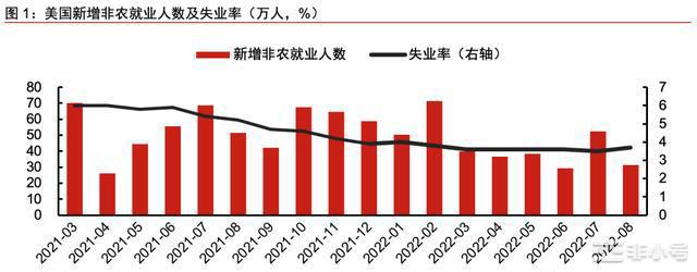 非农数据亮眼美联储继续加息加密大盘带动整体行情走下坡趋势