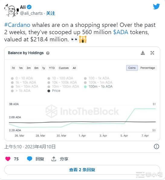 ADA鲸鱼在过去2周内获得了5.6亿后即将大涨？