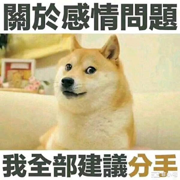 一文概述DOGE狗狗币的前世今生