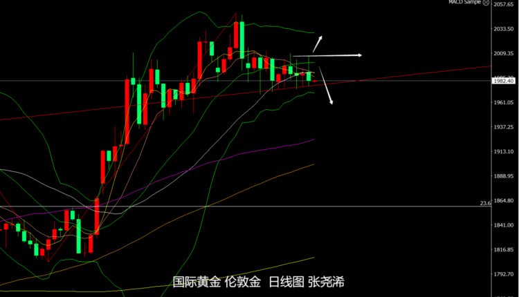 张尧浠：数据助力美元连阳看涨黄金多头折戟仍偏承压