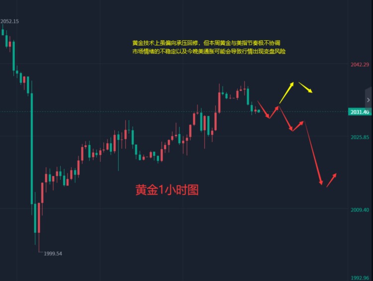 张轩昊：5.10外汇黄金原油分析策略