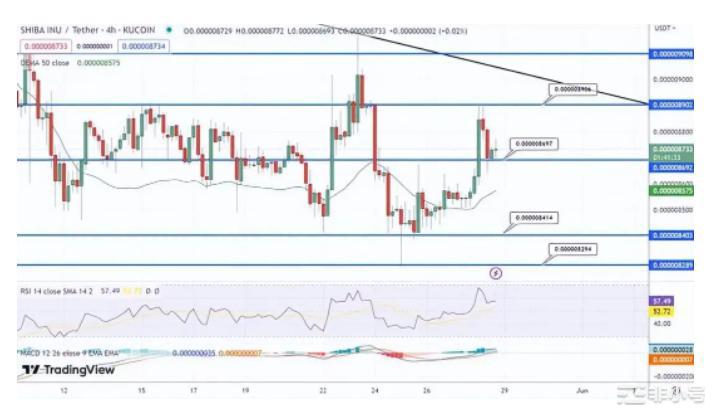 SHIB上涨3%美国债务上限协议或让SHIB暴涨至1美元？