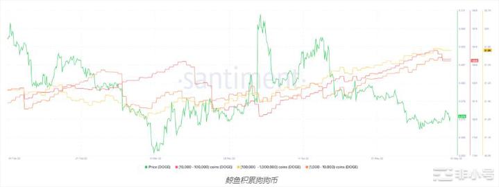 当鲸鱼卖出以太坊时这4种山寨币正在绘制牛市模式！