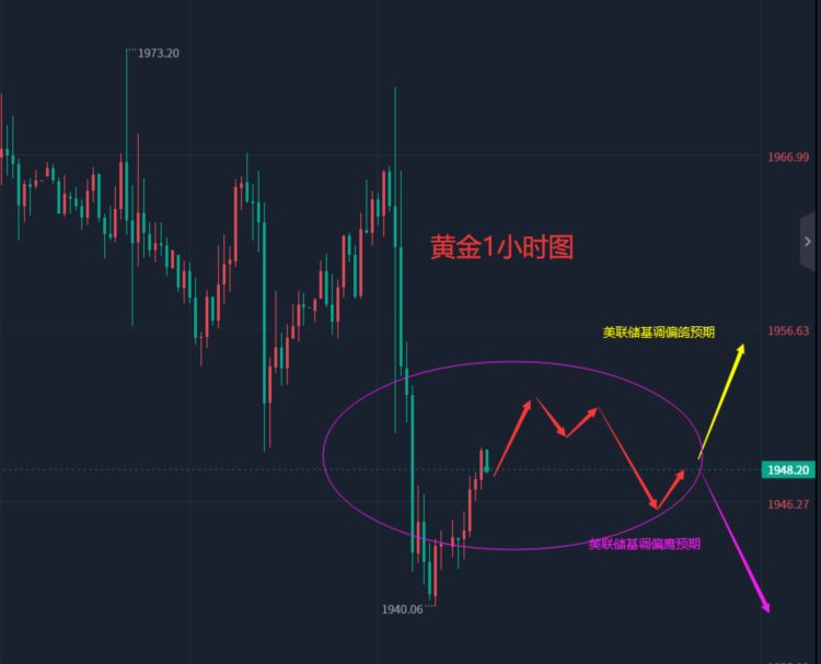 张轩昊：6.14外汇黄金原油分析策略