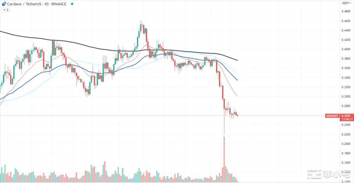 ShibaInu(SHIB)已经恢复了37%下一步是什么