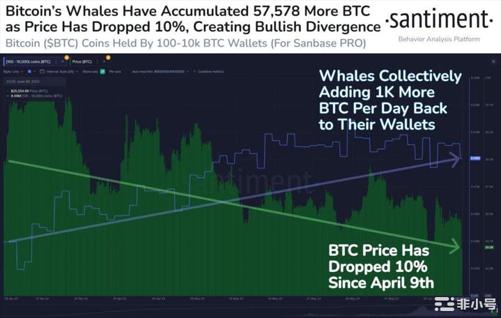 BTC巨鲸不畏崩盘每天增持1000枚BTC反弹将至？