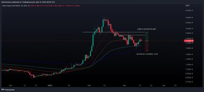 BabyDoge成为Binance的顶级趋势硬币SHIB