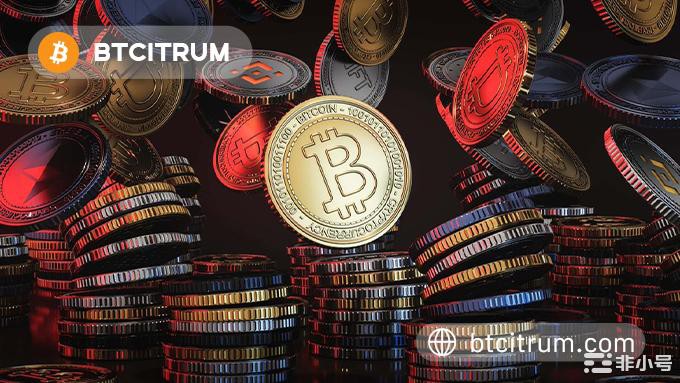 Btcitrum信托基金：向阳而生，扶摇而上，未来可期