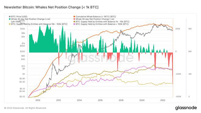 创纪录的比特币鲸鱼抛售30天内抛售28万比特币(BTC)