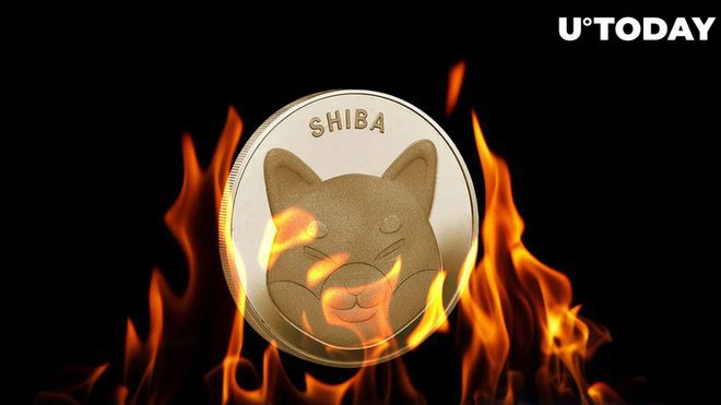 SHIB燃烧率回升64%原因如下