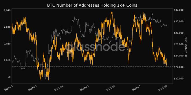 BTC价格在月度收盘后烟火？本周比特币需要了解的5件事