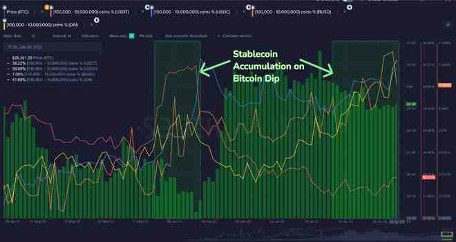 比特币价格预测：BTC会在关键季节性模式中保持稳定吗？