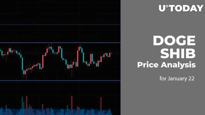 1月22日DOGE和SHIB价格分析