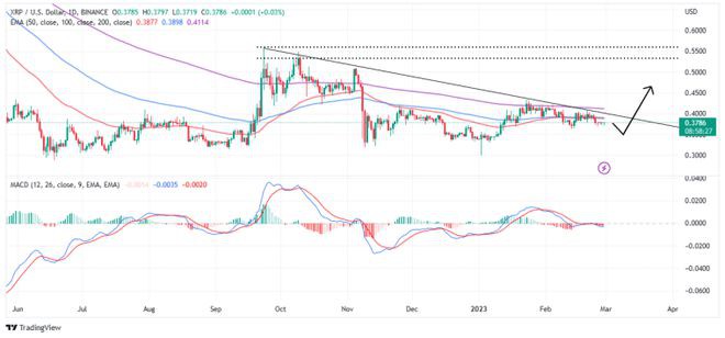 XRP价格预测——稳定性显示上行的力量1美元即将到来嘛？