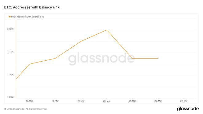 崛起社区：比特币[BTC]：衍生品需求飙升但其含义是什么