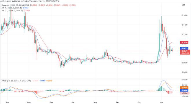 DOGE又涨了？还会回到巅峰价格吗？