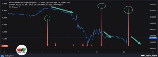 是时候做多比特币(BTC)了？顶级分析师发表意见